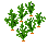 FarmableCarrot