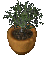 PottedTree