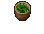 WoodenBowlOfLettuce