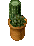 PottedCactus1