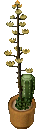 PottedCactus2