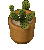 RewardPottedCactus