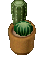 PottedCactus4