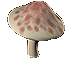 TaintedMushroom