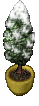 Snowy tree